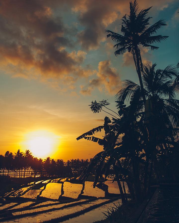 The Mayana Beach House Selemadeg  Esterno foto
